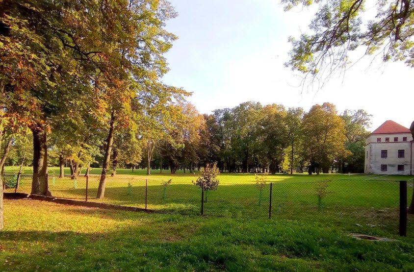 Pałac Bykowskich, Piotrków Trybunalski, Poland, Poland